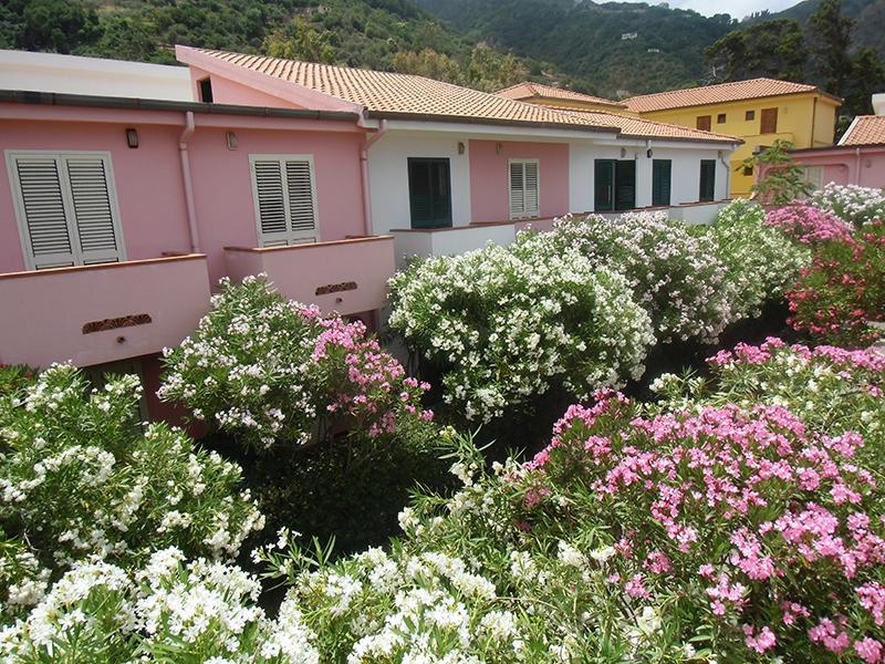 Villaggio Hotel Club Calanovellamare Piraino Extérieur photo
