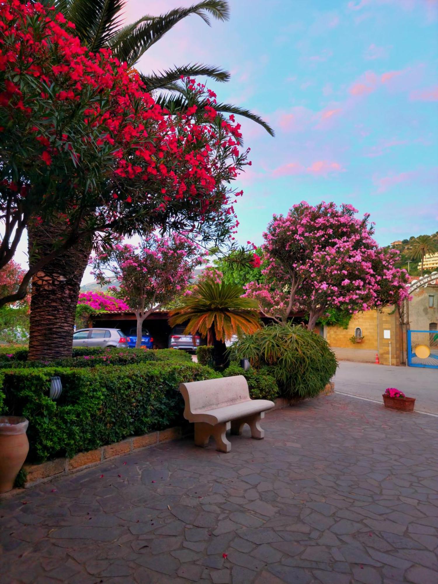 Villaggio Hotel Club Calanovellamare Piraino Extérieur photo